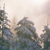 How to Transition from Developer to Engineering Manager